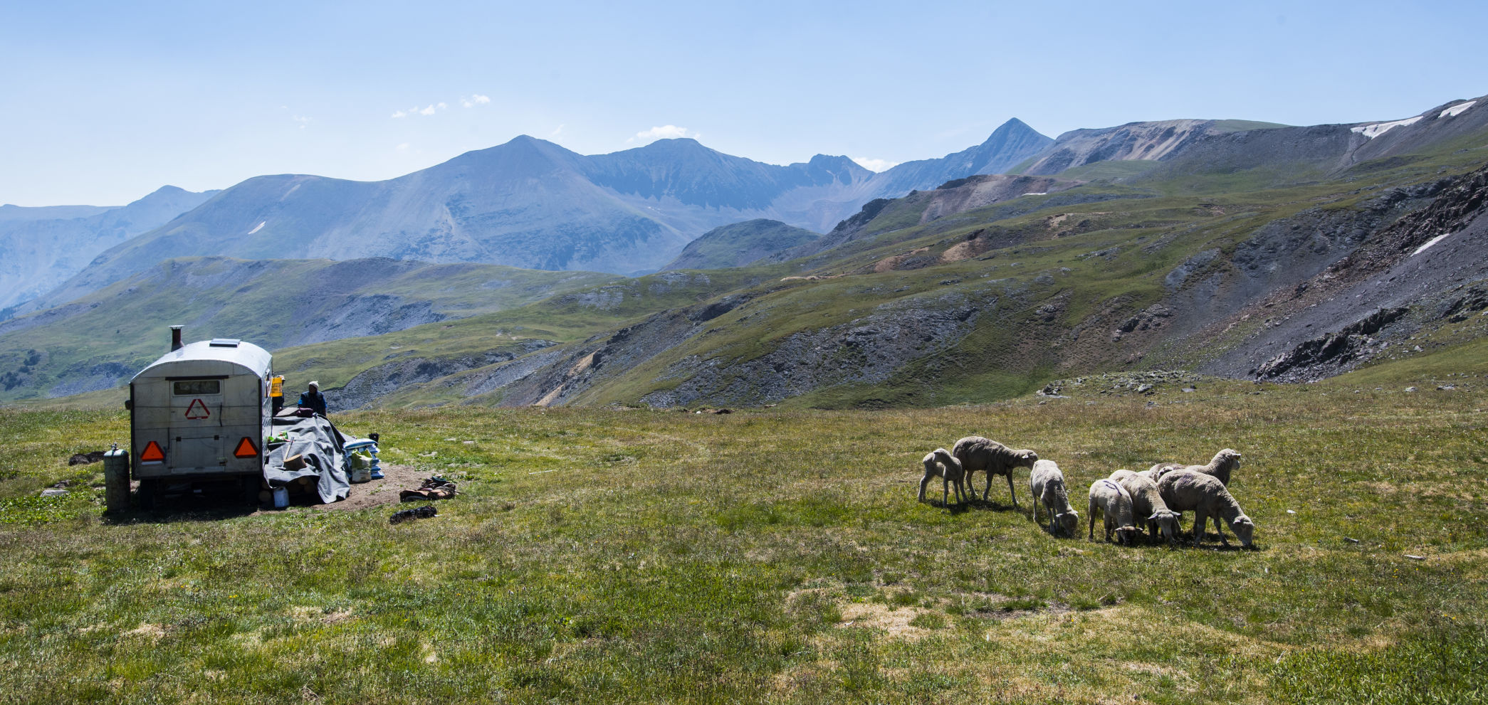 sheep herders